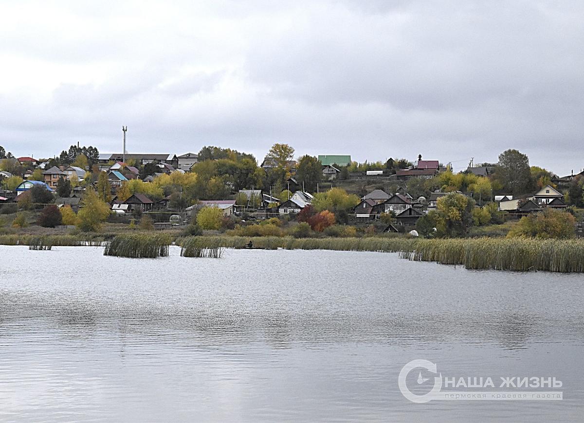 ​В Пермском крае «ПЦБК» выпустила в Суксунский пруд мальков амурского карпа