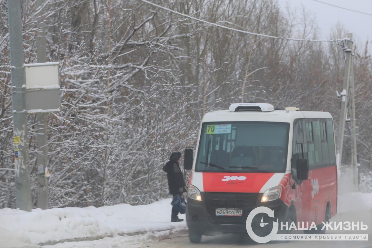 В Перми увеличилось количество автобусов с «тревожными» кнопками  