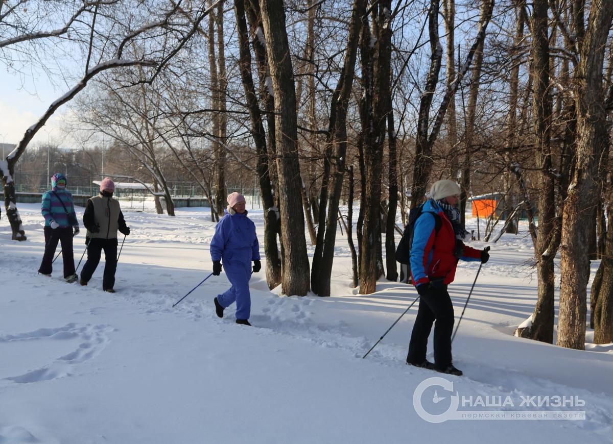 «Нам не страшен мороз»: в Мотовилихе всё больше людей старшего поколения присоединяются к занятиям скандинавской ходьбой