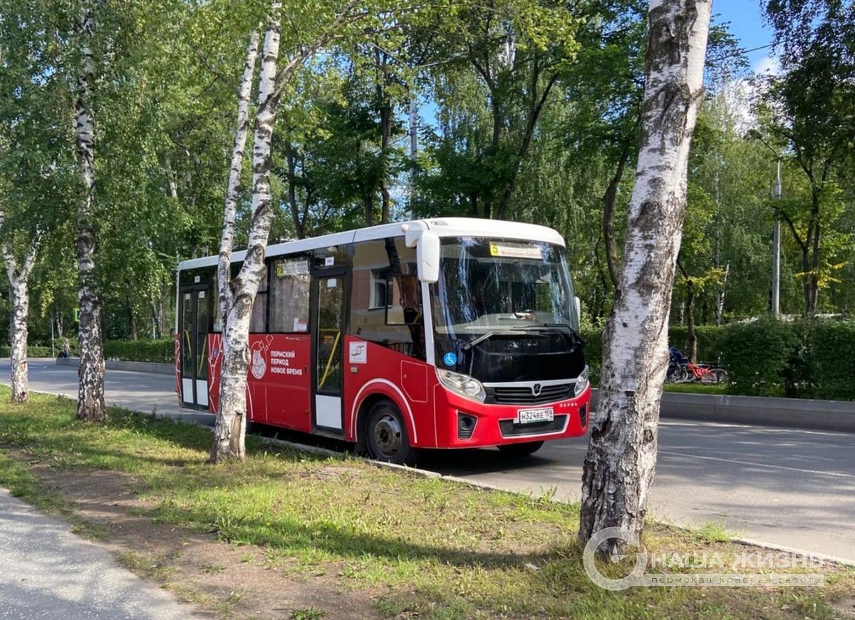 Общественный транспорт Перми с 1 сентября вернётся к осеннему расписанию