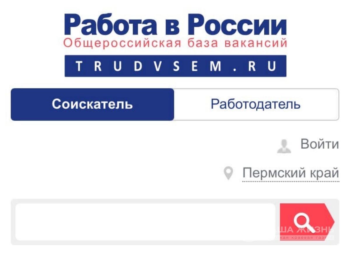 ​На портале «Работа в России» можно пройти профориентационное тестирование