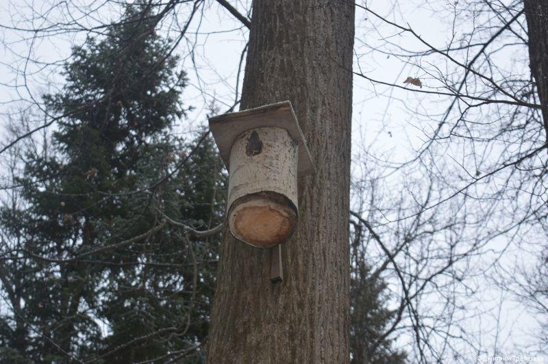 Жителям Перми предлагают позаботиться о птицах в городе в холодное время года