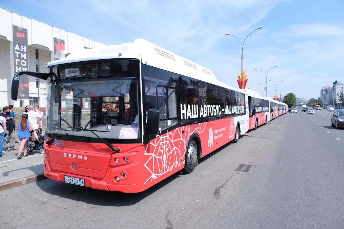 Пермские автобусы украсят юбилейной символикой