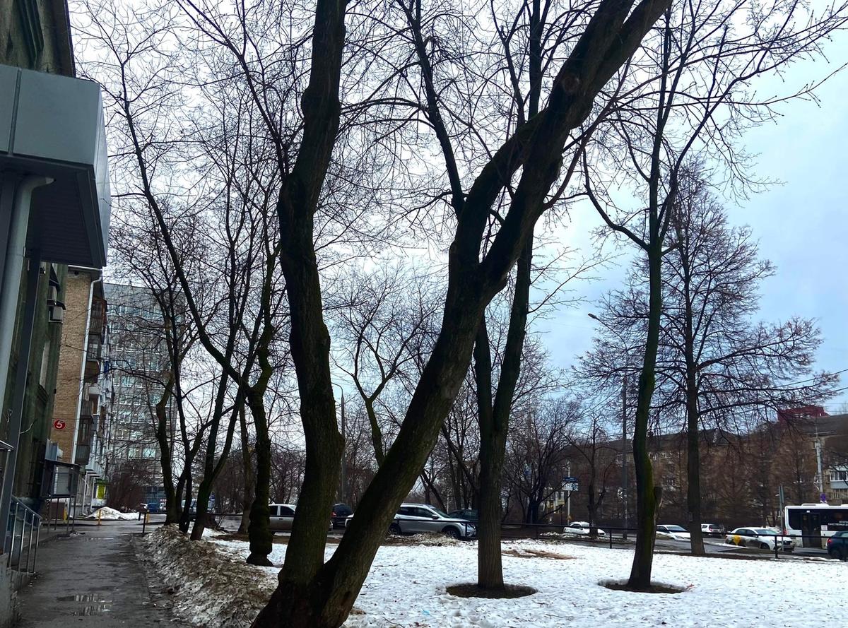 Прогноз погоды в Перми на 27-31 марта  
