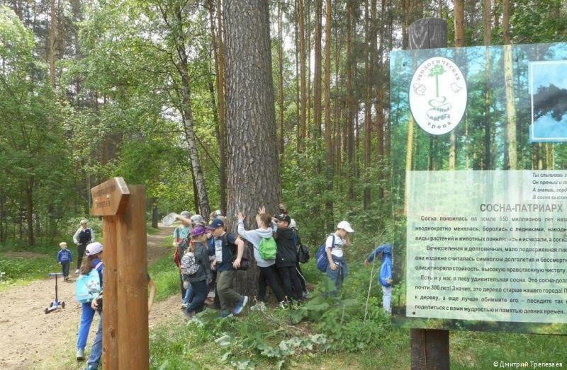 В городских лесах Перми проходят бесплатные экскурсии 