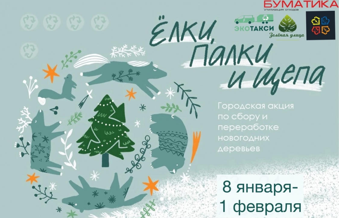 Жители Пермского края могут сдать новогодние елки на утилизацию
