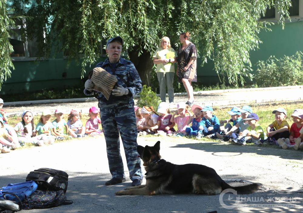 В гостях у детского сада «Компас» побывал инспектор-кинолог с собакой