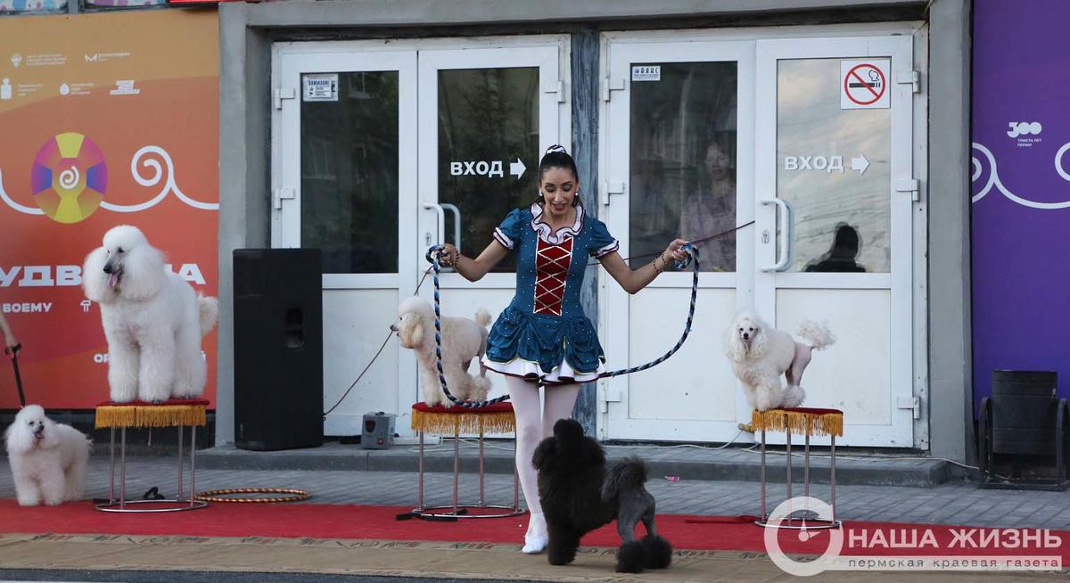 ​Пермский цирк подвел итоги конкурса детских рисунков