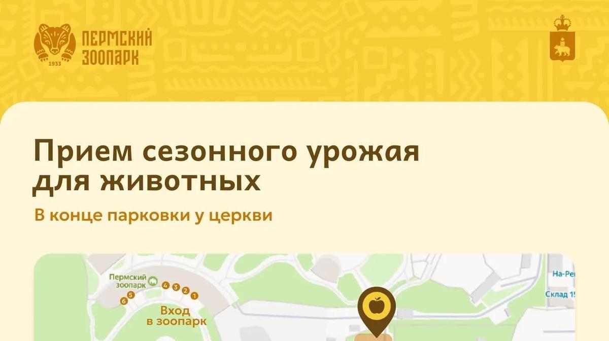 ​Дачный урожай — зоопарку: как пермяки могут помочь животным
