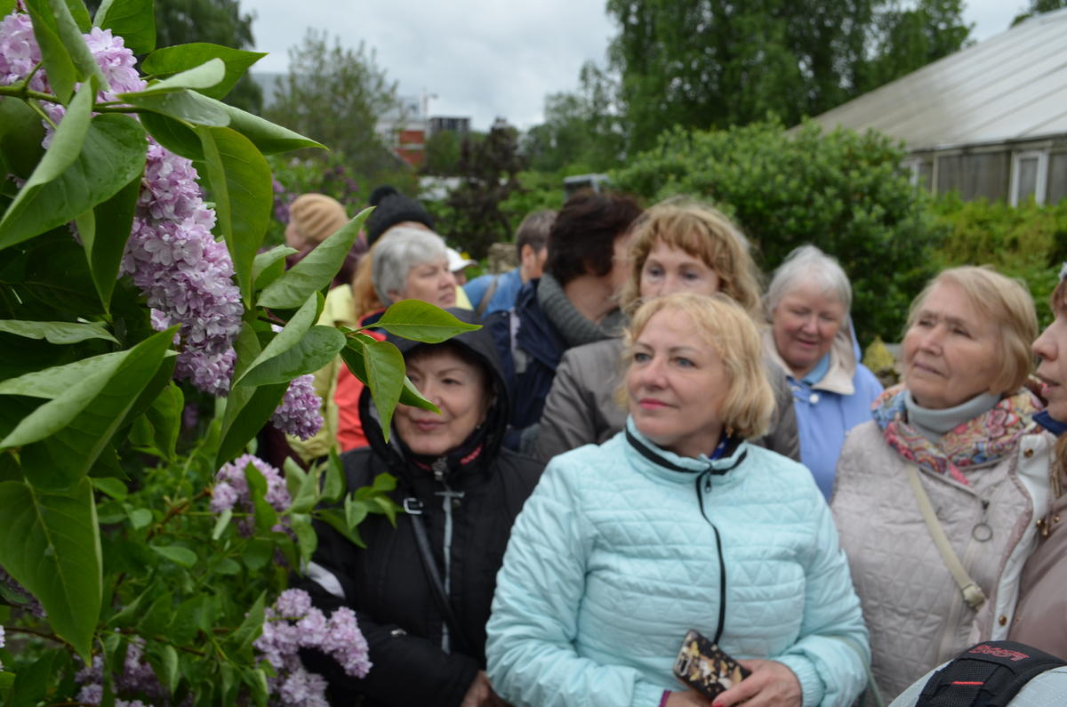​Сиреневый рай: жители Мотовилихи побывали на фестивале цветения сирени в ПГНИУ