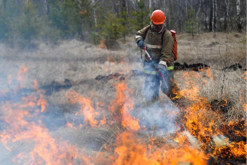 Минприроды Прикамья напоминает: лесоарендаторы обязаны тушить лесные пожары 