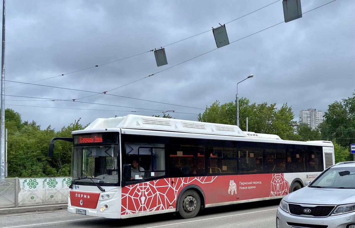 В Перми в День города будет продлена работа общественного транспорта 