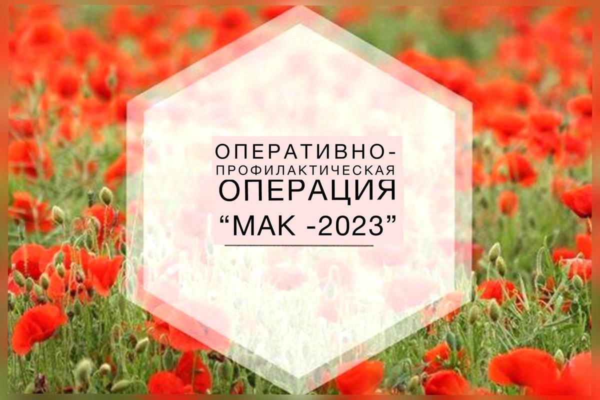 ​Народные дружинники Мотовилихинского района приняли участие в операции «Мак – 2023»