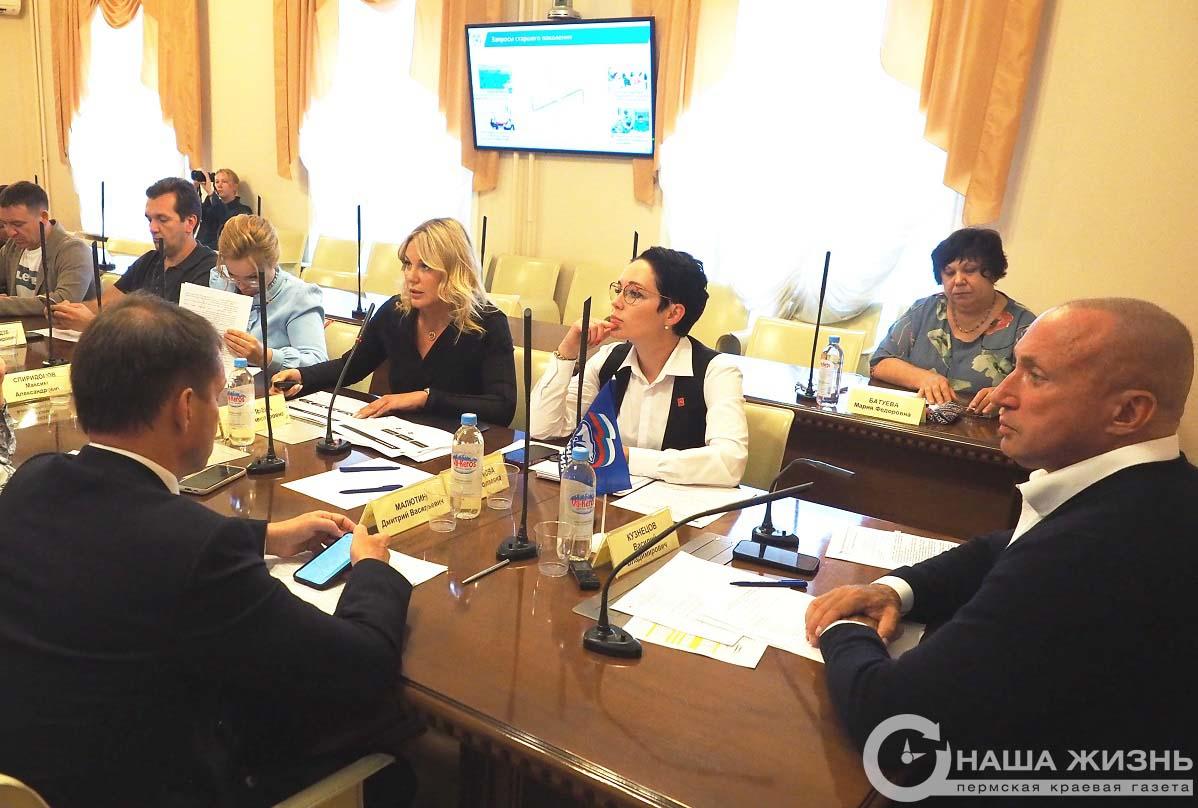​На фракции партии «Единая Россия» в ПгД обсудили реализацию партпроекта «Старшее поколение»