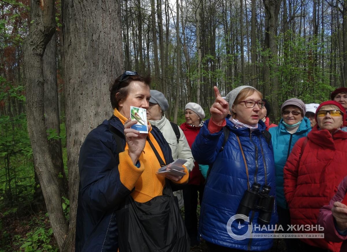 ​Жители Мотовилихи вышли на прогулку с орнитологом