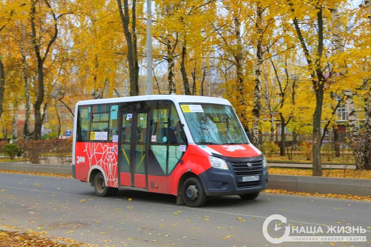 В столице Прикаемья определены перевозчики для обслуживания пяти автобусных маршрутов 