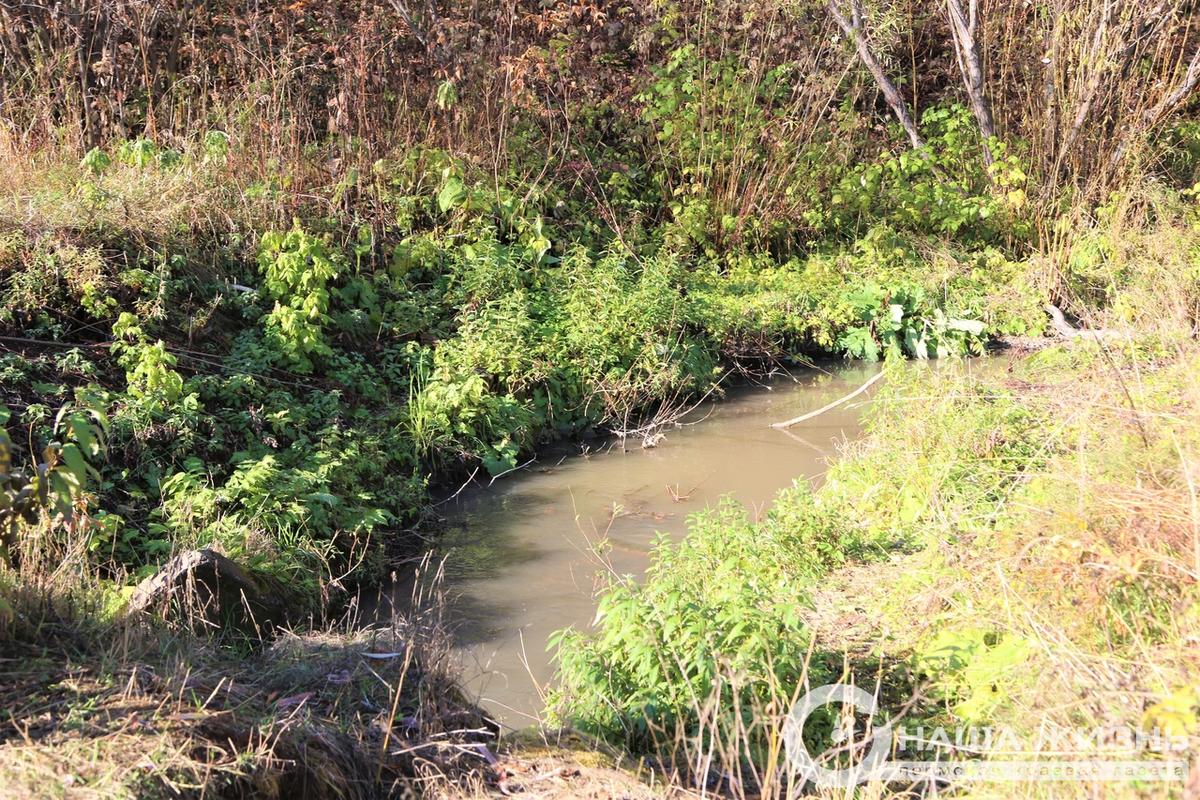 В столице Прикамья очистят 13 километров береговых полос малых рек 