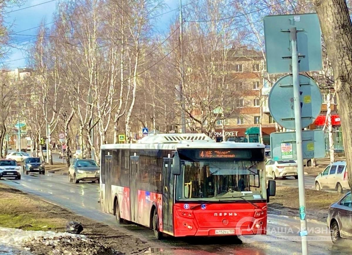 В Перми пройдёт «Автобус FEST»  