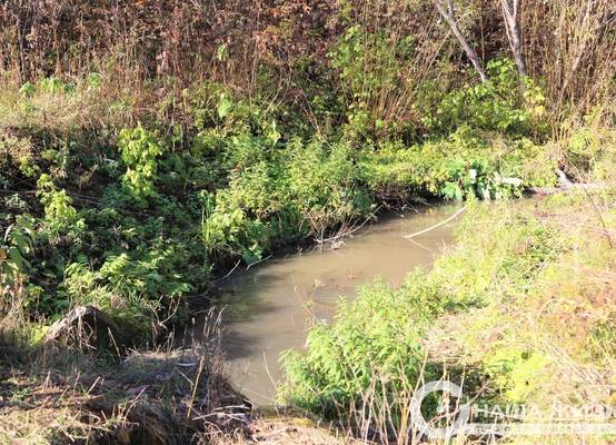 В столице Прикамья очистят 13 километров береговых полос малых рек 