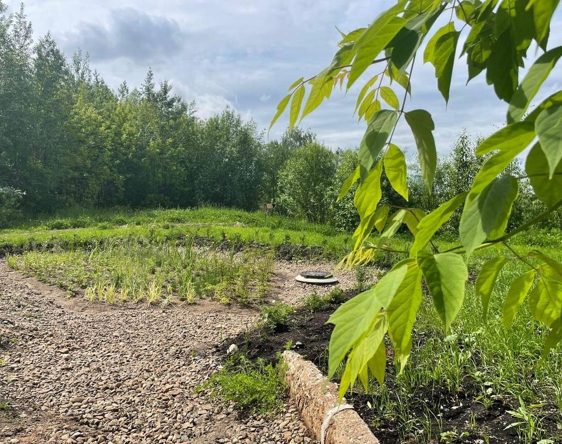В Мотовилихе открылся дождевой сад в долине реки Егошихи 