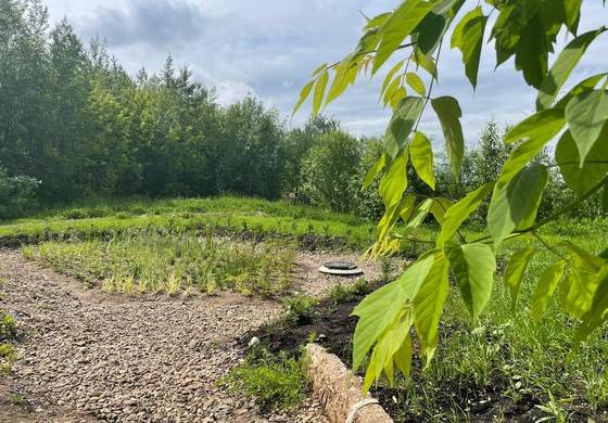 В Мотовилихе открылся дождевой сад в долине реки Егошихи 