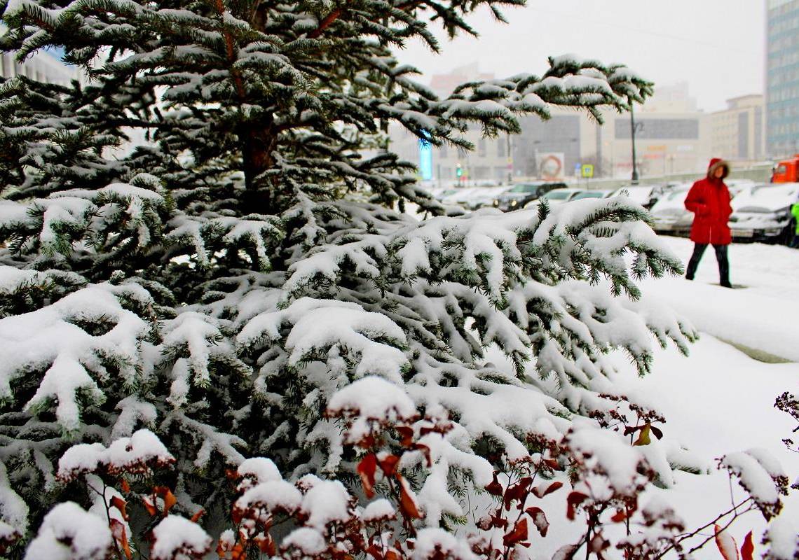 ​В Прикамье идут сильные снегопады