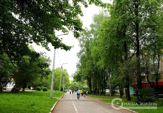 Просторная и зеленая пешеходная часть улицы Крупской 