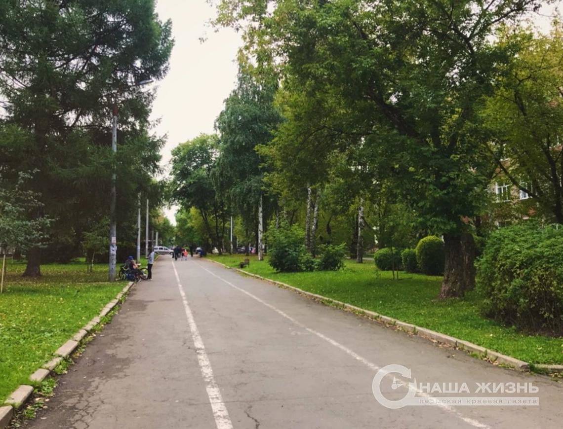 Пермяки могут принять участие в опросе об организации городского велопроката