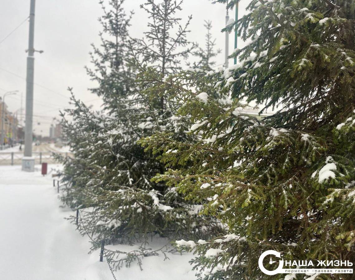 ​В Пермском крае ожидаются ветер и сильный снег