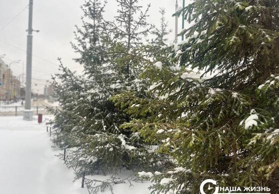 ​В Пермском крае ожидаются ветер и сильный снег