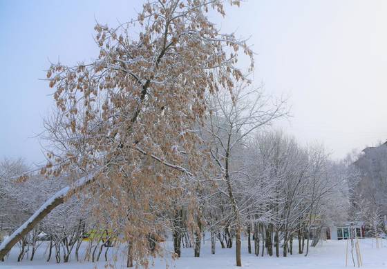 Прогноз погоды в Перми на 14-15 января 