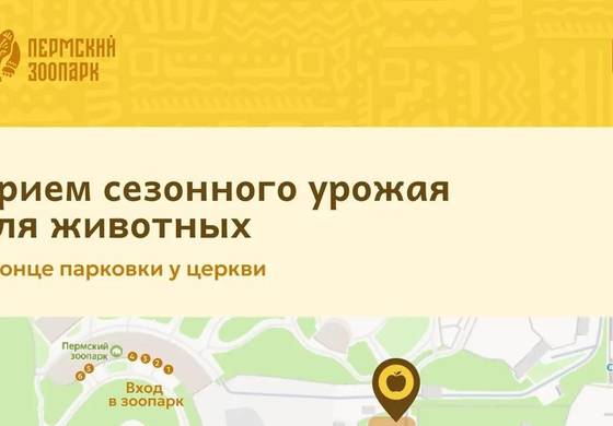 ​Дачный урожай — зоопарку: как пермяки могут помочь животным