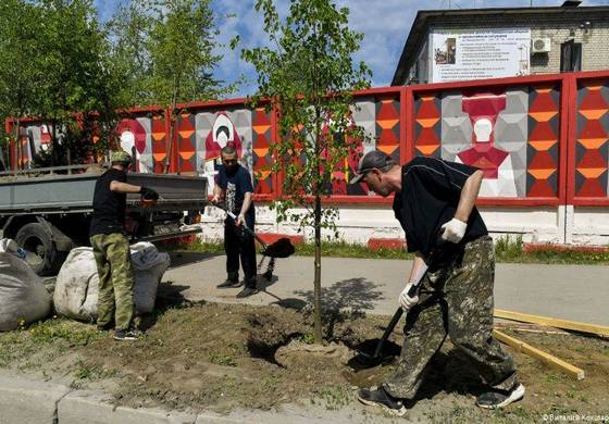 В Мотовилихе в рамках озеленительной кампании высадят липы