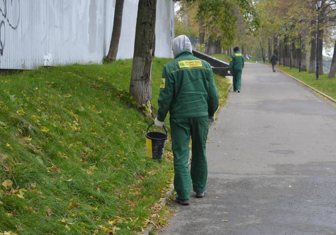 В Перми завершилась обработка от грызунов 