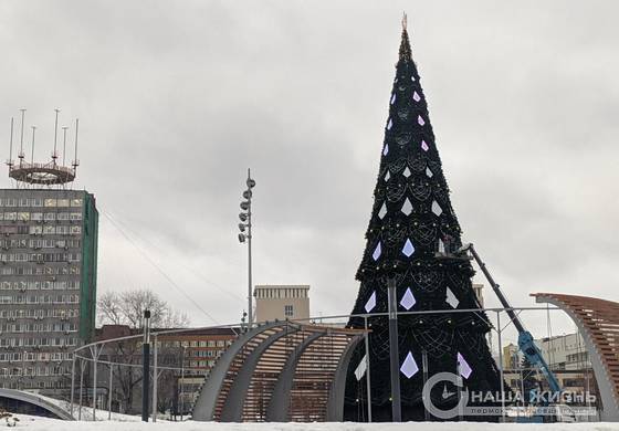 Огни на главной ёлке Перми зажгут 1 декабря