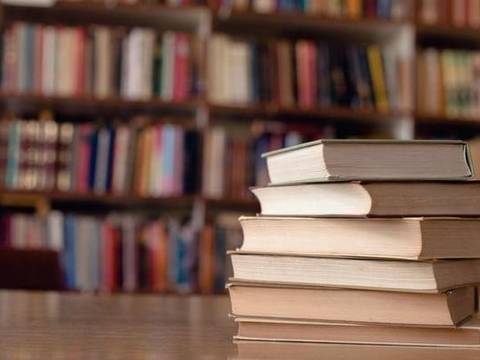 ​Русская литература и учебники пополняют фонд библиотек Донбасса